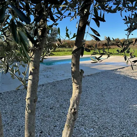 Oliviera Ρόβινι